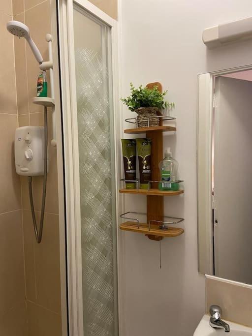 Vera'S Penthouse Вексфорд Екстер'єр фото
